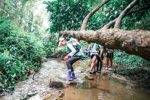 BIB: 
                            <button type="button" onclick="openModal(25373011)" class="btn btn-primary btn-sm float-right btn-popup" data-toggle="modal" data-target=".modal-high-quality">
                        <i class="fas fa-shopping-cart"></i> Add to Cart
                    </button>
                                            <button type="button" onclick="isThisMe(25373011, true)" class="btn btn-success btn-sm float-right btn-popup btn-isme hidden" data-toggle="tooltip" data-placement="bottom" title="นี่คือรูปของคุณใช่ไหม คลิกที่นี่เพื่อเอาเข้าอัลบั้ม">
                        <i class="fas fa-plus"></i> Add to album
                    </button>
                    <button type="button" onclick="isThisMe(25373011, false)" class="btn btn-warning btn-sm float-right btn-popup btn-isnotme hidden">
                        <i class="fas fa-ban"></i> Remove from album
                    </button>